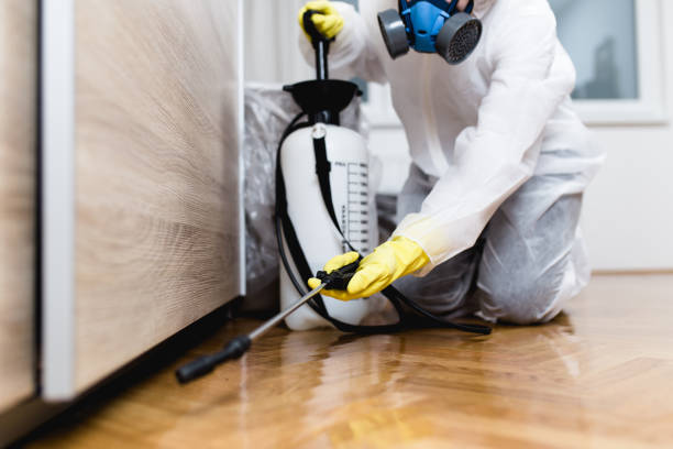 Best Pest Removal Services  in Buffalo, NY