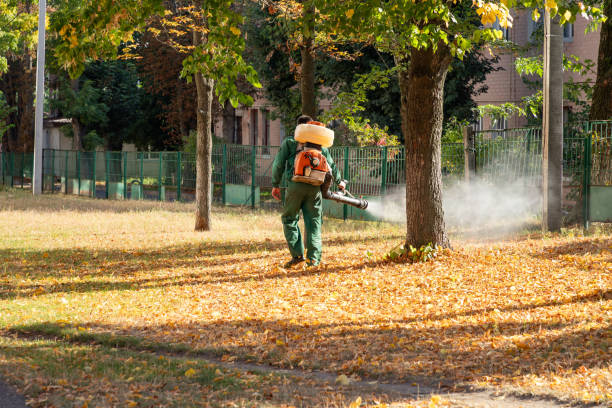 Best Bird Control  in Buffalo, NY